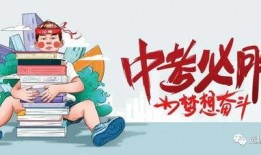 航线巴哥爆料最新消息,航线最新动态，揭秘神秘航线背后的故事！”