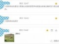 玉林建行最新爆料信息,揭秘金融创新与风险防控举措大揭秘