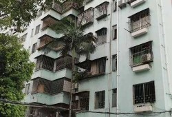 石家庄花园爆料案件最新,揭秘背后惊人真相