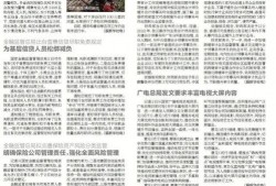 九号最新爆料新闻报道,揭秘科技巨头最新动态与未来趋势”