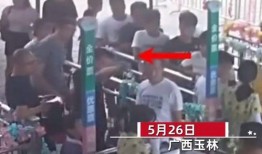 玉林爆料家长视频最新版,揭示教育乱象背后的真相
